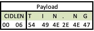 An example of Payload of the CONNECT packet with Client Identifier fields payload header