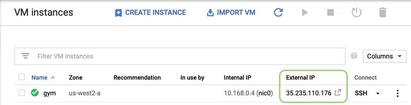 Retrieve External IP Address of your instance from **Compute Engine** page on the Cloud console external ip