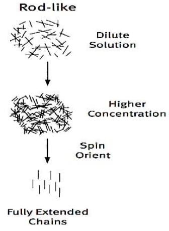 Chain behavior at different stages chain behave